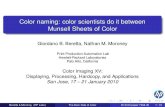 Color naming: color scientists do it between  Munsell Sheets of Color