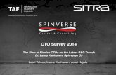 Spinverse: CTO Survey 2014