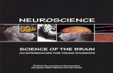 Neuroscience (brain) english