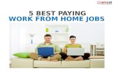 5 Best Paying Work from Home Jobs