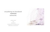 Visualizing My Facebook Networks