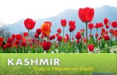 Kashmir - Paradise on earth