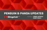 Panda & Penguin Google Algorithm Updates - Your Questions Answered - Slingshot SEO