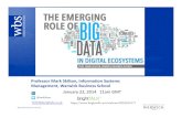 Big data and digital ecosystem mark skilton jan 2014 v1