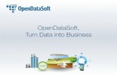 Turn data into business with OPENDATASOFT