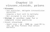 Chapter 13 Micro