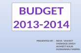 Budget 2013-2014