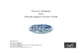 Term paper Hydrogen Fuel Cell