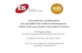 Frauke Urban: International collaboration for equitable low carbon development: NZEC and Low Carbon Innovation Centres