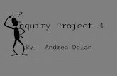 Inquiry Project 3