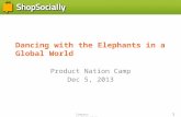 Dancing with the elephants in a global world - Samir Palnitkar #PNCamp