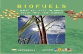 Biofuels: What You Need to Know About This New Market