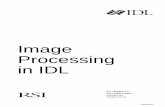 51390303 Image Processing in IDL