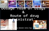 dosage forms and route of drug administration