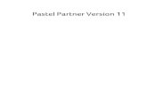 User Guide - Pastel Partner Version 11