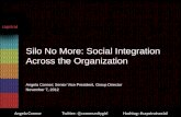 Social Integration Across the Organizations