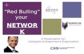 Collegiate Entrepreneurs Organization Red Bulling Your Network