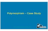 Computer Notes - Polymorphism – Case Study
