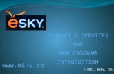 ESKY global business presentation show 20110305