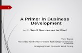 Business Development for Small Government Contracting Companies