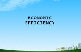 Economic efficiency ppt @ bec doms