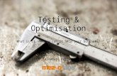 Testing & Optimisation - Irene Kalkanis