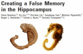 Creating a false memory in the hippocampus