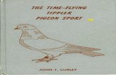 The Time- Flying Tippler Pigeon Sport- by John T. Curley from 1961