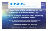 Biomass and Bioenergy Lab