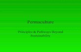 Permaculture Principles and Pathways Beyond Sustainabilty
