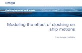 Sloshing Effect on Ship Motions
