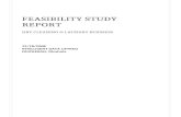 FEASIBILITY REPORT OF LAUNDRY BUSINESS new
