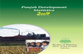 Punjab Development-Statistics-2009