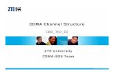 003 CDMA2000 1x Channel Structure