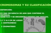 CROMOSOMAS Y SU CLASIFICACION