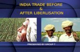 Indian Trade Liberalisation