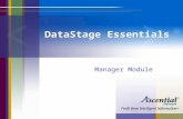DataStage Manager