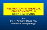 RUE II Deep Sea Diving