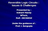Reversible Logic Circuits   Indranil Nandy