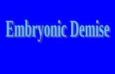 Embryonic Demise