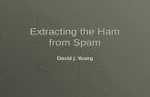 ASSP: Extracting the Ham from Spam -- by David J. Young