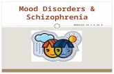 Chapter 16-Mood Disorders & Schizophrenia (Student)