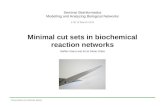 Minimal Cut Sets in Biochemical Reaction Networks