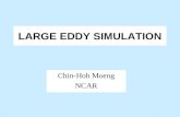 Large Eddy Simulation