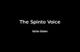 The Spinto Voice