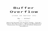 Buffer Overflow (Root on Server II)