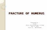 Fracture of Humerus