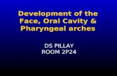 Development of the Face, Oral Cavity & Pharyngeal arches - PILLAY