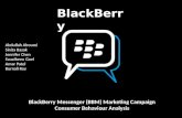 Blackberry Presentation Structure