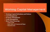 Working Capital Finance Trade Credit, Bank Finance and Commercial Paper